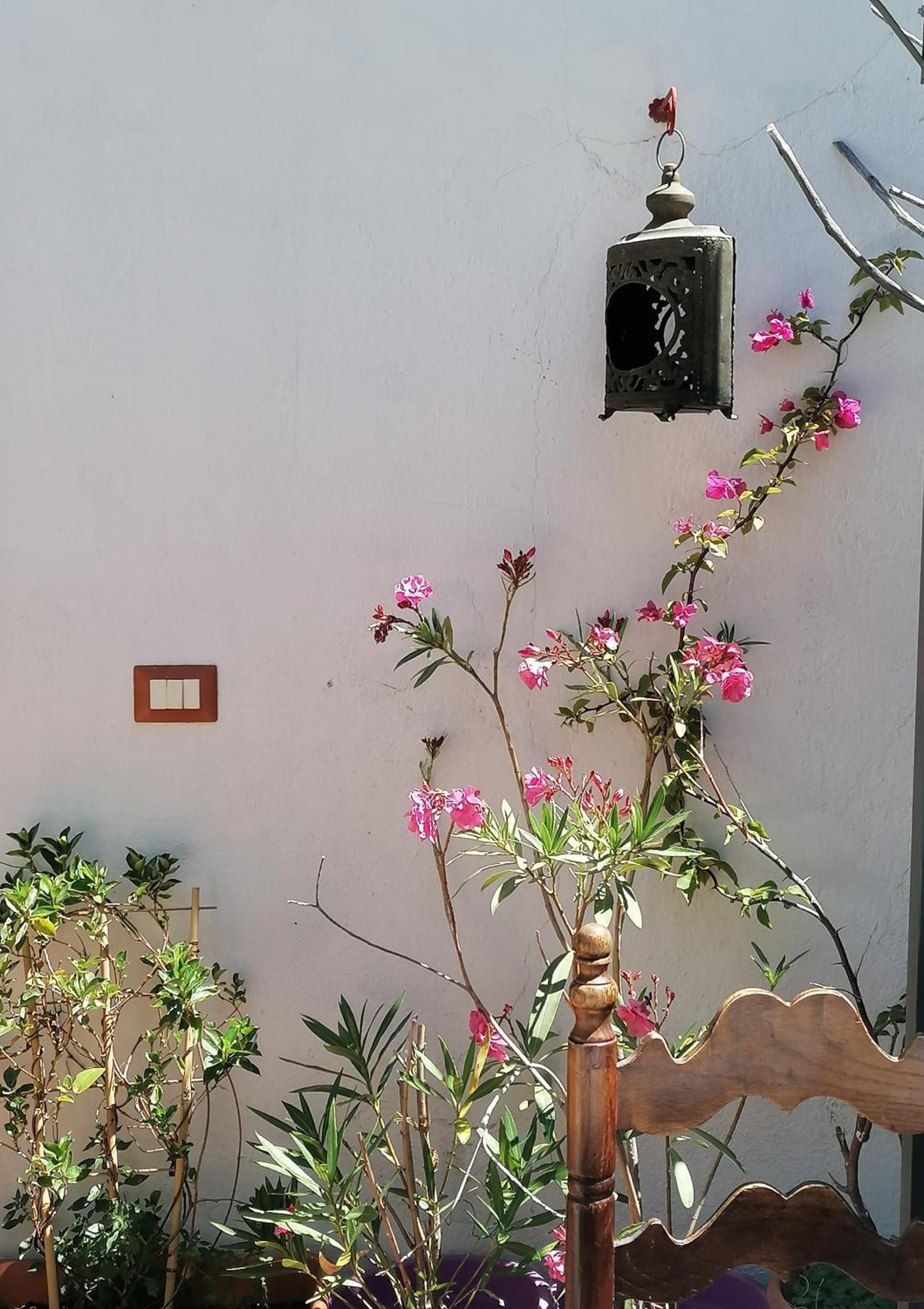 B&B Casacori Orosei Exterior foto